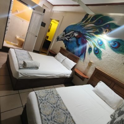 IMG20251107184129_01